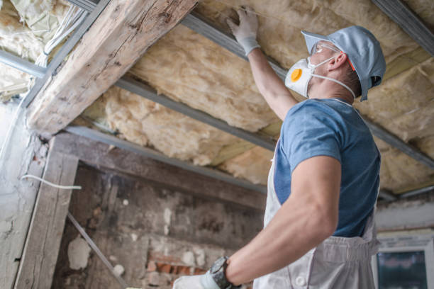 Best DIY Insulation Kits and Guidance in Newpt, OR